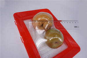 Reusable Fresh-keeping Food Preservation Vacuum-sealed Tray (2 pcs)