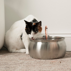 Purrfection Flow: Stainless Steel Cat Water Fountain