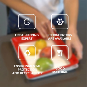 Reusable Fresh-keeping Food Preservation Vacuum-sealed Tray (2 pcs)