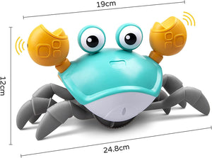 Tummy Time Crab - Flash Sale 50% Off!