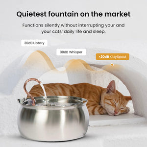 Purrfection Flow: Stainless Steel Cat Water Fountain