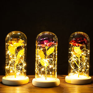 Enchanted Valentines Day Gift for Girlfriend with Eternal Rose LED Light Foil Flower In Glass