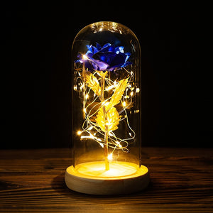 Enchanted Valentines Day Gift for Girlfriend with Eternal Rose LED Light Foil Flower In Glass
