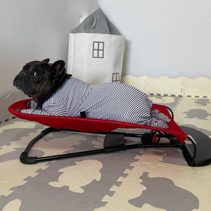 Portable Rocking Chair for French Bulldog