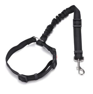 Flex Adjustable Car Dog Leash