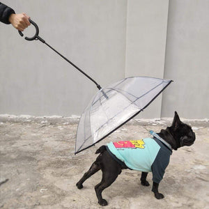 Mytrendster Dogbrella